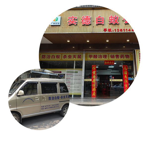 专家热线：13611446003